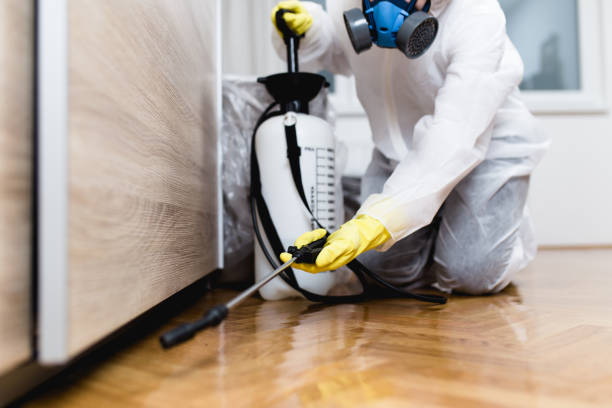 Best Affordable Pest Control Services  in USA